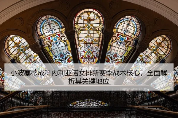 xiao-bo-sai-di-cheng-ke-nei-li-ya-nuo-nv-pai-xin-sai-ji-zhan-shu-he-xin-quan-mian-jie-xi-qi-guan-jian-di-wei-2-587.jpg