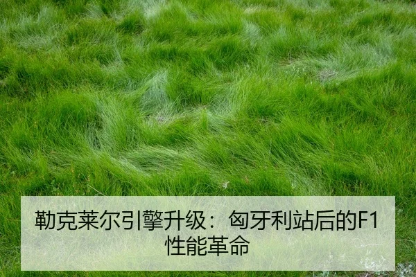 lei-ke-lai-er-yin-qing-sheng-ji-xiong-ya-li-zhan-hou-de-xing-neng-ge-ming-2-125.jpg