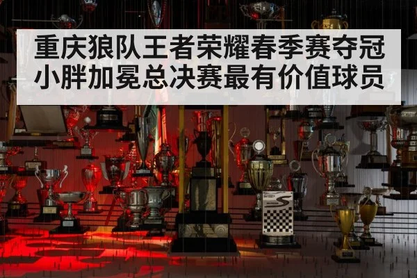 重庆狼队王者荣耀春季赛夺冠小胖加冕总决赛最有价值球员